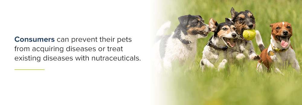 Consumers can prevent their pets from acquiring diseases or treat existing diseases with nutraceuticals.