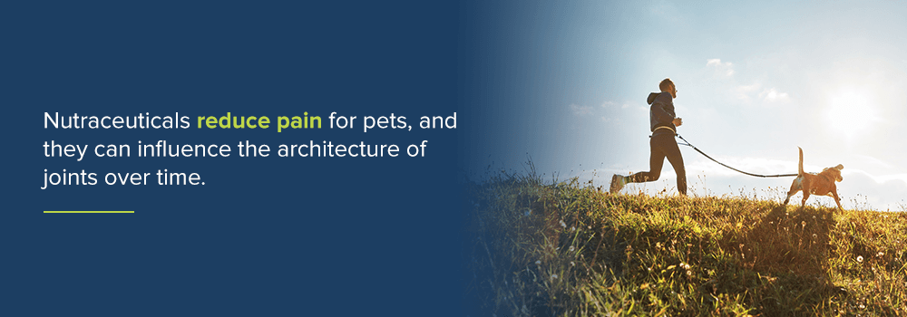 Nutraceuticals reduce pain for pets, and they can influence the architecture of joints over time.