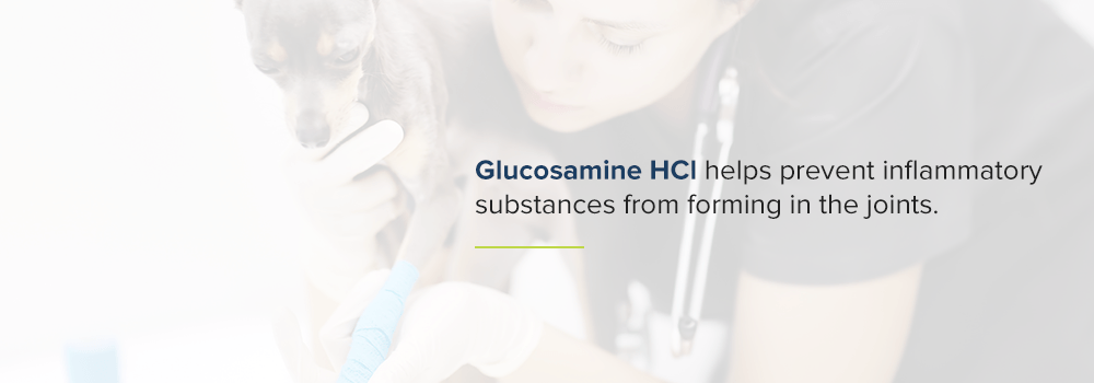 Glucosamine HCI helps prevent inflammatory substances from forming in the joints.