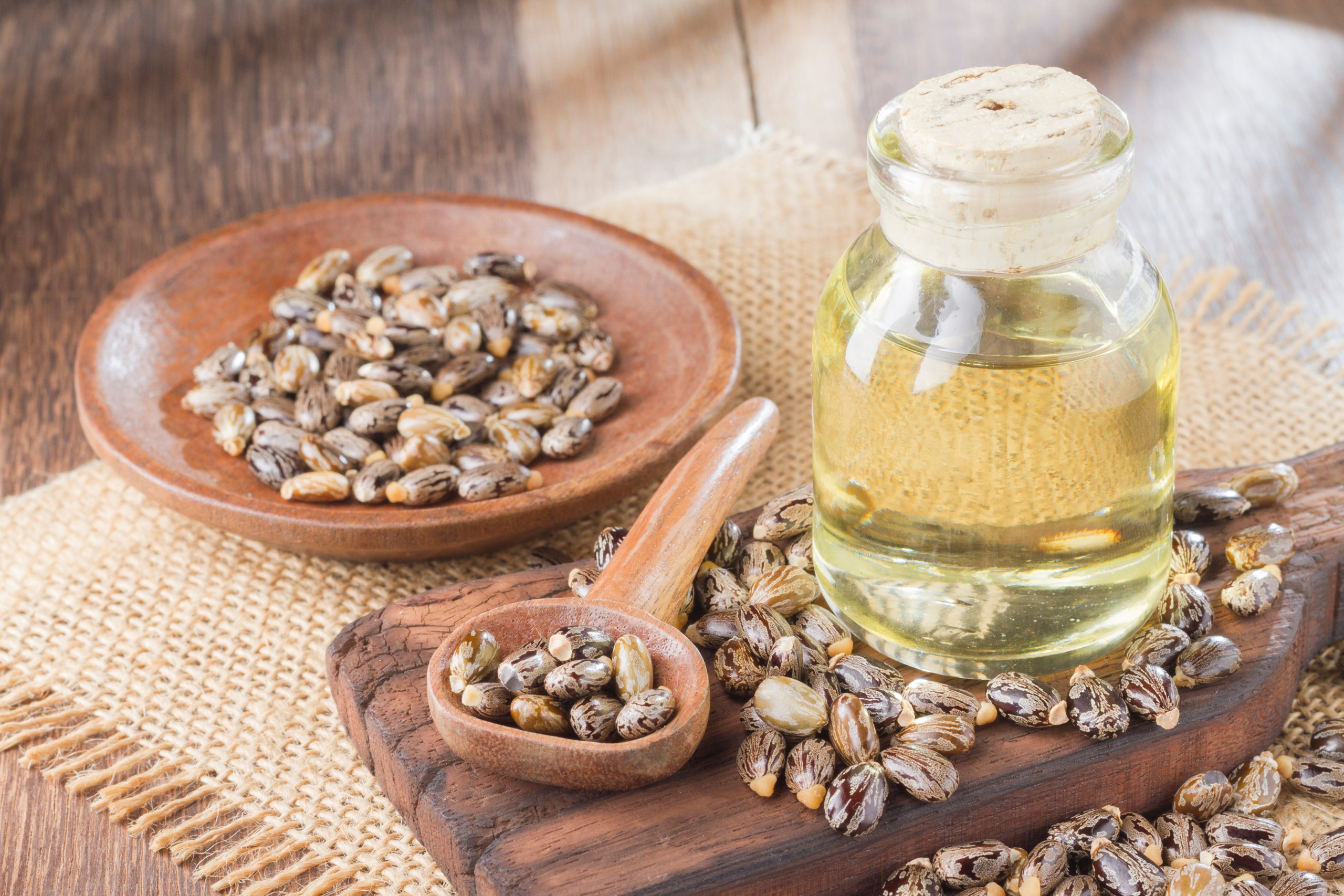 Castor bean seeds surrounding castor oil in container