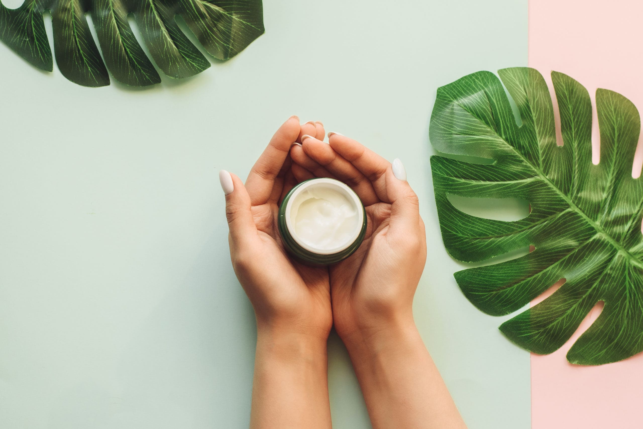 Hands holding small container of creme skincare next to large green tropical leaves